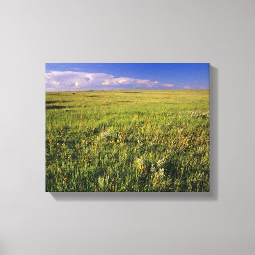 Short Grass Prairie in remote northeastern Canvas Print