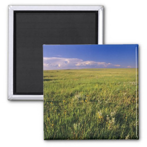 Short Grass Prairie in remote northeastern Magnet