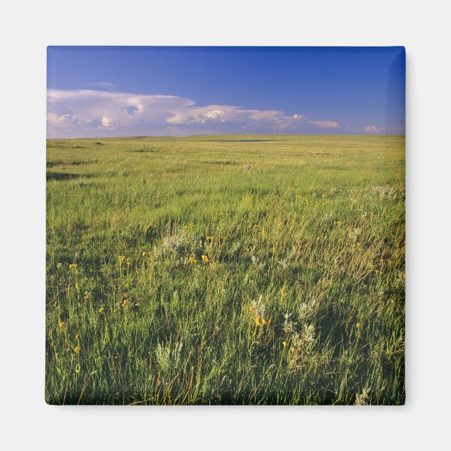 Short Grass Prairie in remote northeastern Magnet (Front)