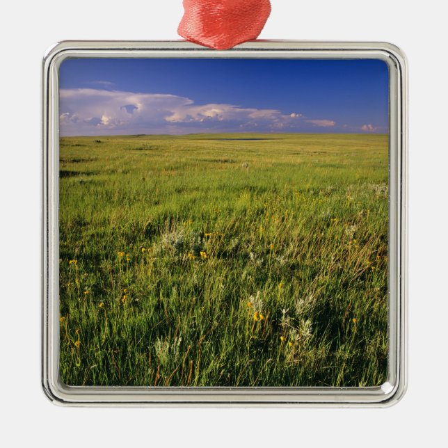 Short Grass Prairie in remote northeastern Metal Ornament (Front)
