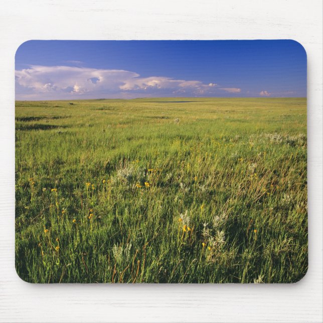 Short Grass Prairie in remote northeastern Mouse Pad (Front)