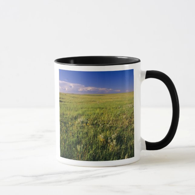 Short Grass Prairie in remote northeastern Mug (Right)