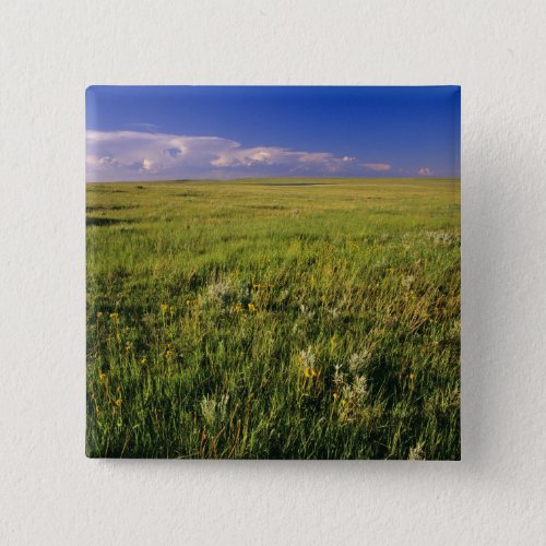 Short Grass Prairie in remote northeastern Pinback Button