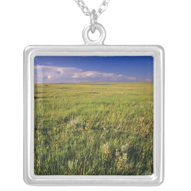 Short Grass Prairie in remote northeastern Silver Plated Necklace (Front)