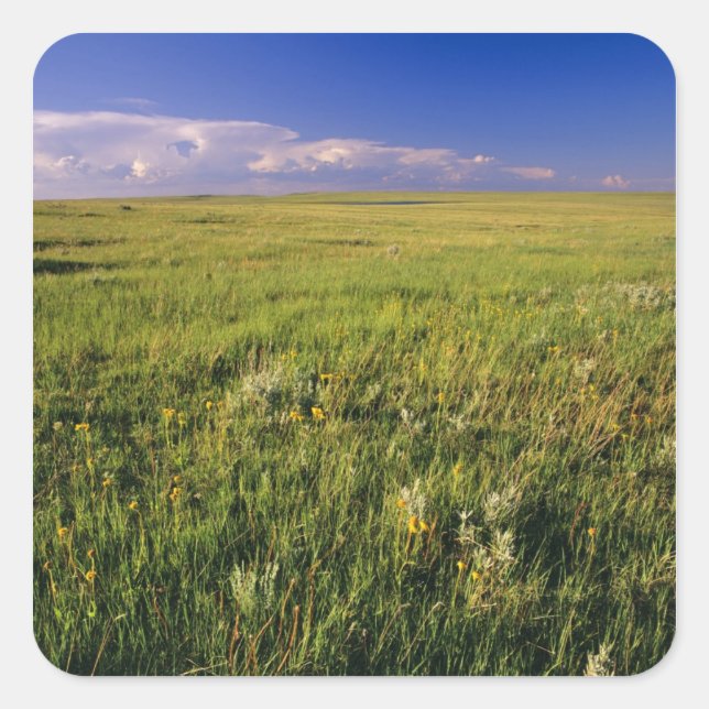 Short Grass Prairie in remote northeastern Square Sticker (Front)