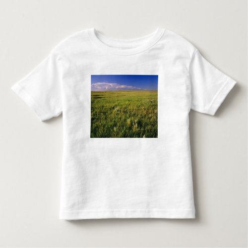 Short Grass Prairie in remote northeastern Toddler T_shirt