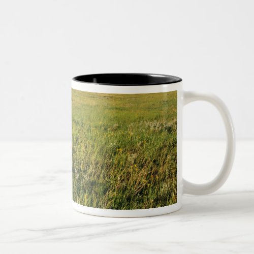 Short Grass Prairie in remote northeastern Two_Tone Coffee Mug