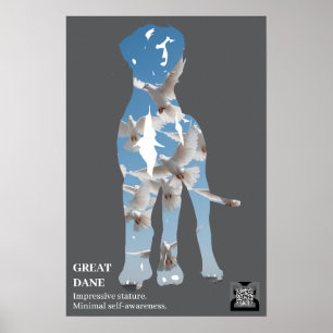 Short Great Dane Poster