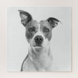 Short Hair Dog In Greyscale (Black & White) Jigsaw Puzzle