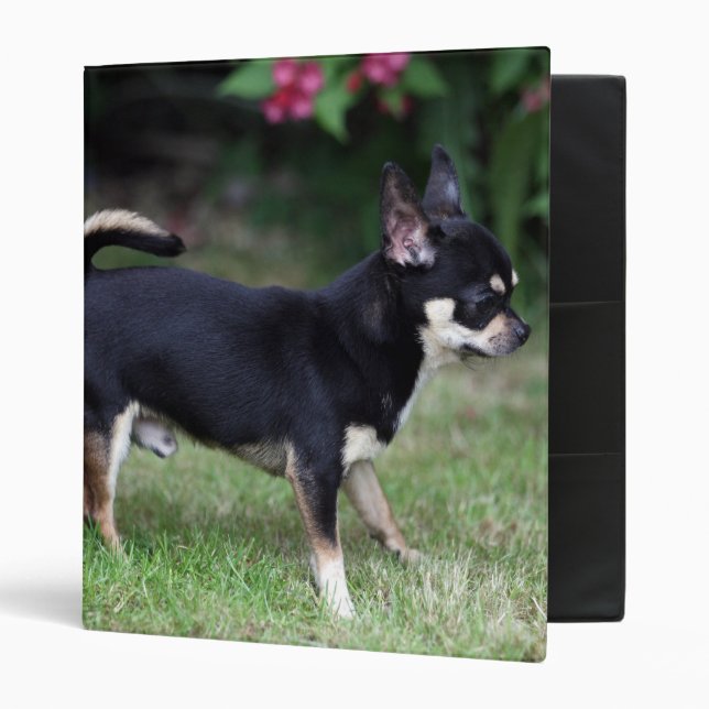 Short Haired Chihuahua Standing Binder (Front/Inside)