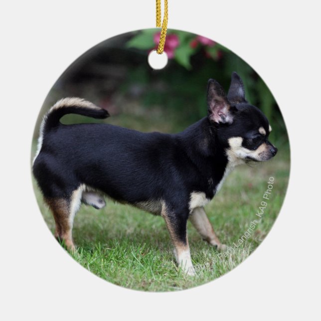 Short Haired Chihuahua Standing Ceramic Ornament (Front)