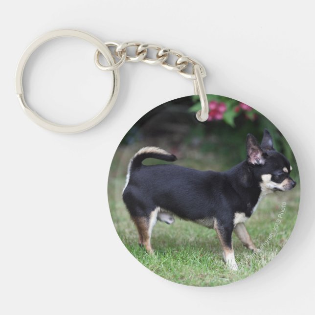 Short Haired Chihuahua Standing Keychain (Front)