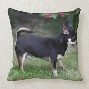 Short Haired Chihuahua Standing Throw Pillow
