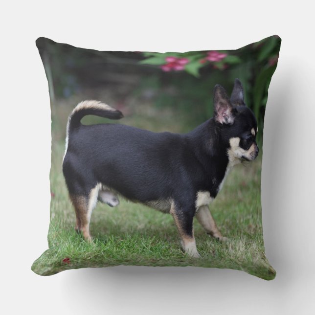 Short Haired Chihuahua Standing Throw Pillow (Front)