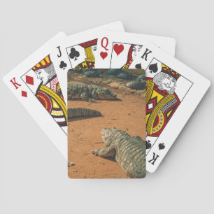 Short Nosed Crocodiles Sunbathing Near Turtles Poker Cards