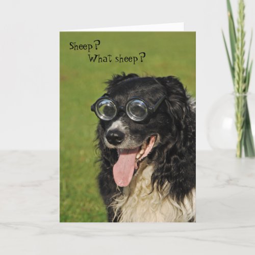 Short_sighted Border Collie Card