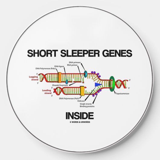 Short Sleeper Genes Inside DNA Replication Humor Wireless Charger (Front)