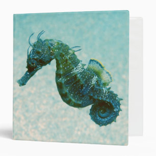 Short-Snouted Seahorse   Crimea, Russia 3 Ring Binder