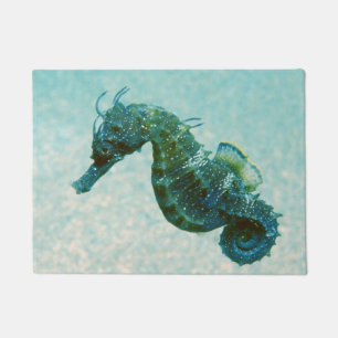Short-Snouted Seahorse Crimea, Russia Doormat