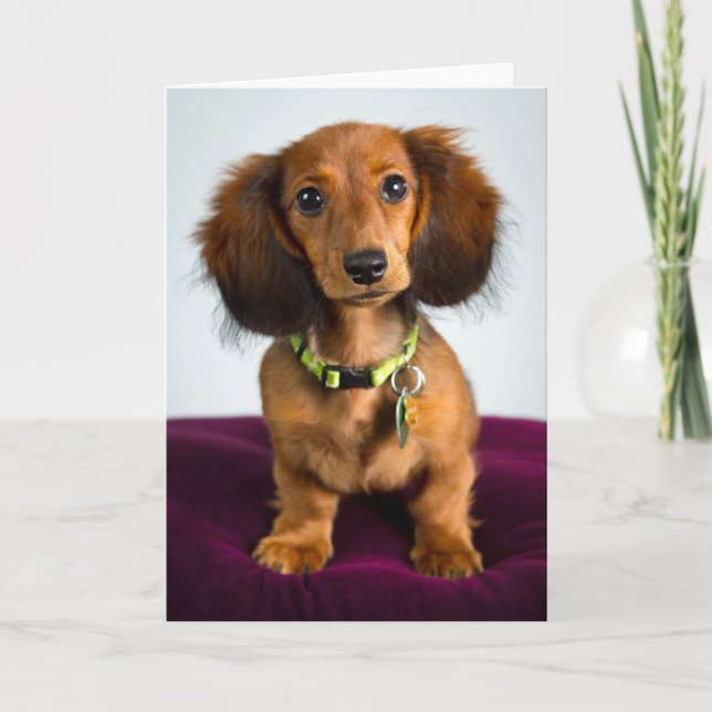 Short Stuff Card (Front)