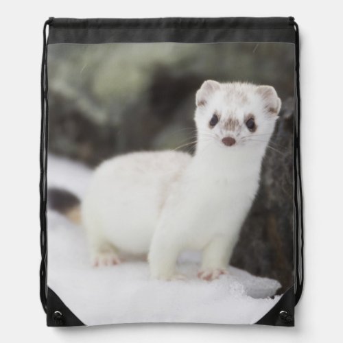 Short_tailed weasel hunting for voles drawstring bag