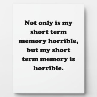 Short Term Memory Plaque