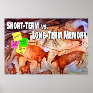 Short-term vs. Long-term Memory Poster