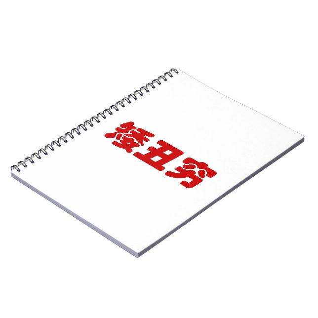 Short, Ugly & Poor 矮丑穷 Chinese Hanzi MEME Notebook (Left Side)
