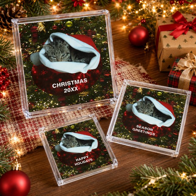 Shorthair Cat in Red Stocking Christmas Tray Set (Shorthair Cat in Red Stocking Christmas Tray Set)