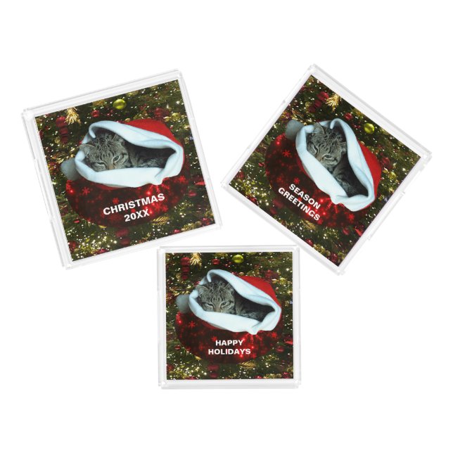 Shorthair Cat in Red Stocking Christmas Tray Set (Set)
