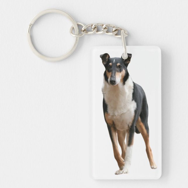 Shorthair Collie Keychain (Front)