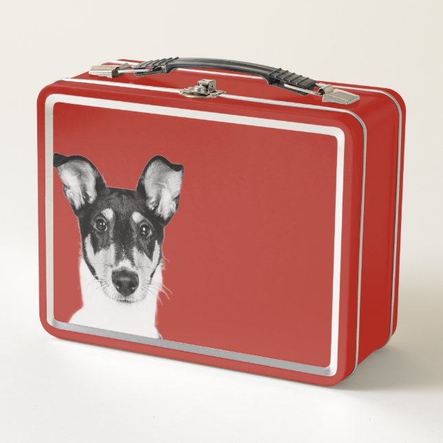 Shorthair Collie Metal Lunch Box (Front)