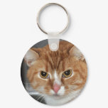 Shorthair Orange Tabby Cat Keychain