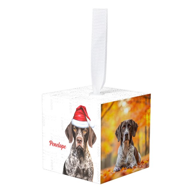 Shorthair Pointer Dog Two Photo Christmas Holiday Cube Ornament (Front Angled)