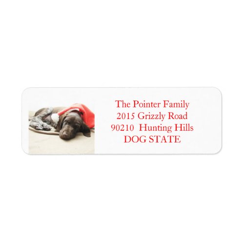 Shorthaired Pointer Holiday Address Label