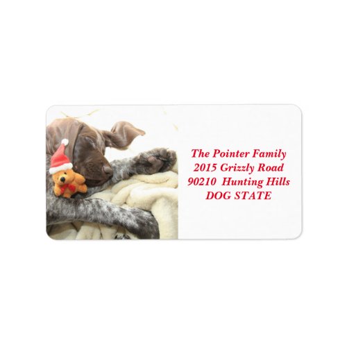 Shorthaired Pointer Holiday Address Label