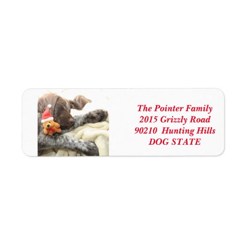 Shorthaired Pointer Holiday Address Label