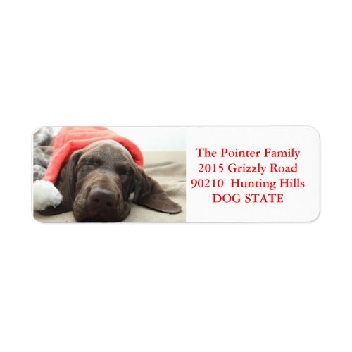 Shorthaired Pointer Holiday Address Label