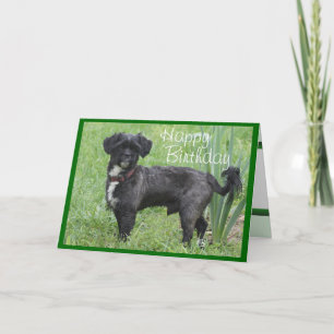 Shorty by Iris-customize any occasion Card