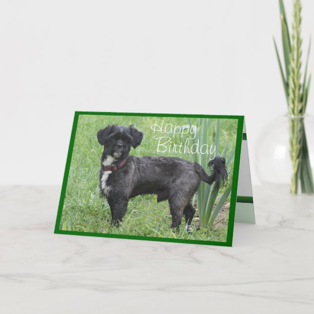 Shorty by Iris-customize any occasion Card (Front)