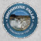 Shoshone Falls 