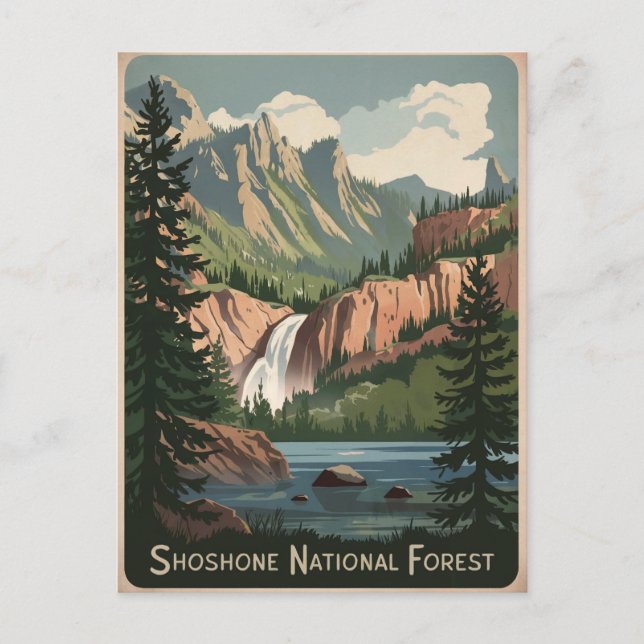 Shoshone National Forest Vintage Postcard (Front)
