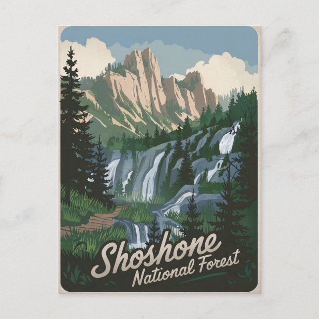Shoshone National Forest vintage Postcard (Front)