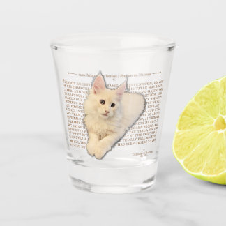 Shot glass - cream Maine Coon kitten