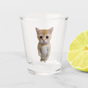 Shot Glass El Gato Cat Meme