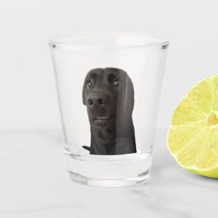 Shot Glass Scared Dog Meme