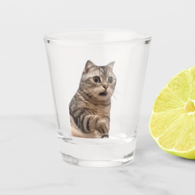 Shot Glass Shocked Cat Meme (Front)