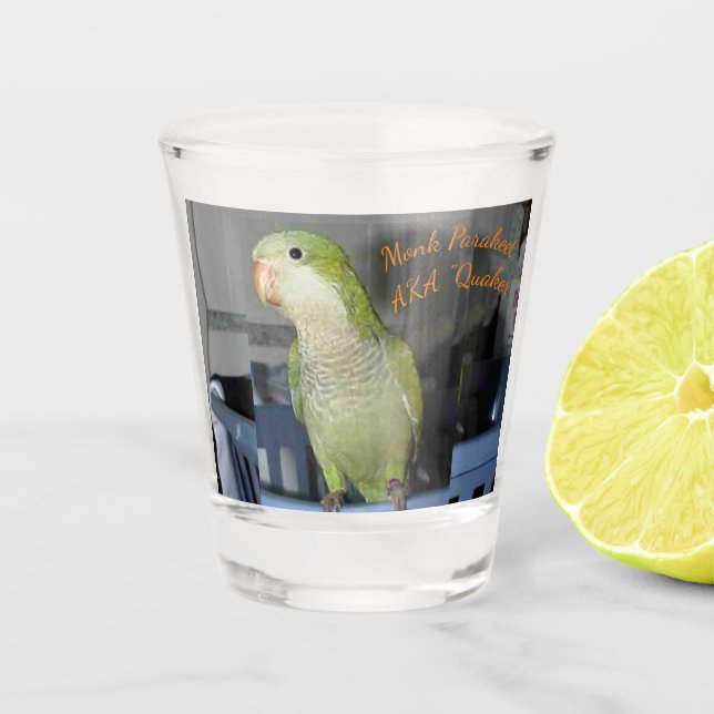 Shot Glass with Quaker Parakeet  motif (Front)