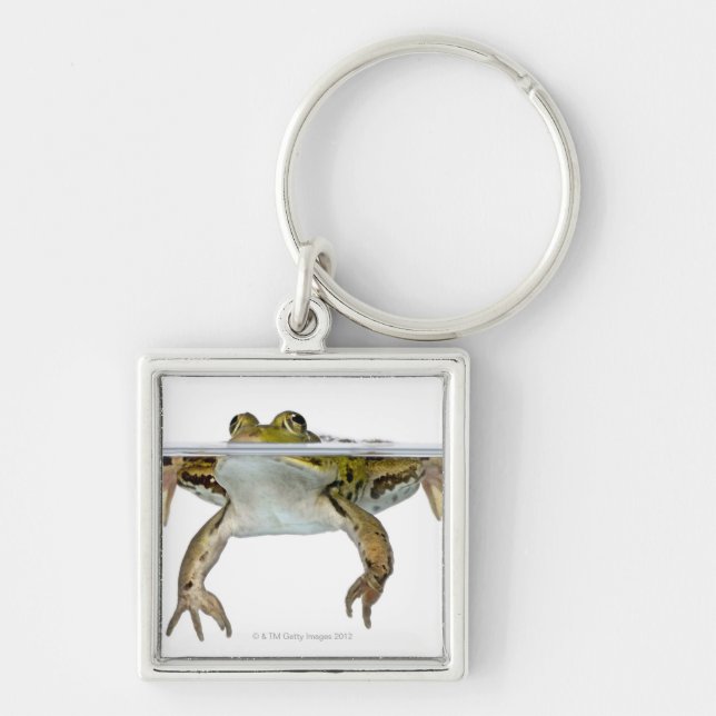 Shot of a Edible frog surfacing in front of a Keychain (Front)
