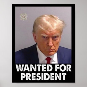 Shot Trump Funny Wanted For President 2024 Poster